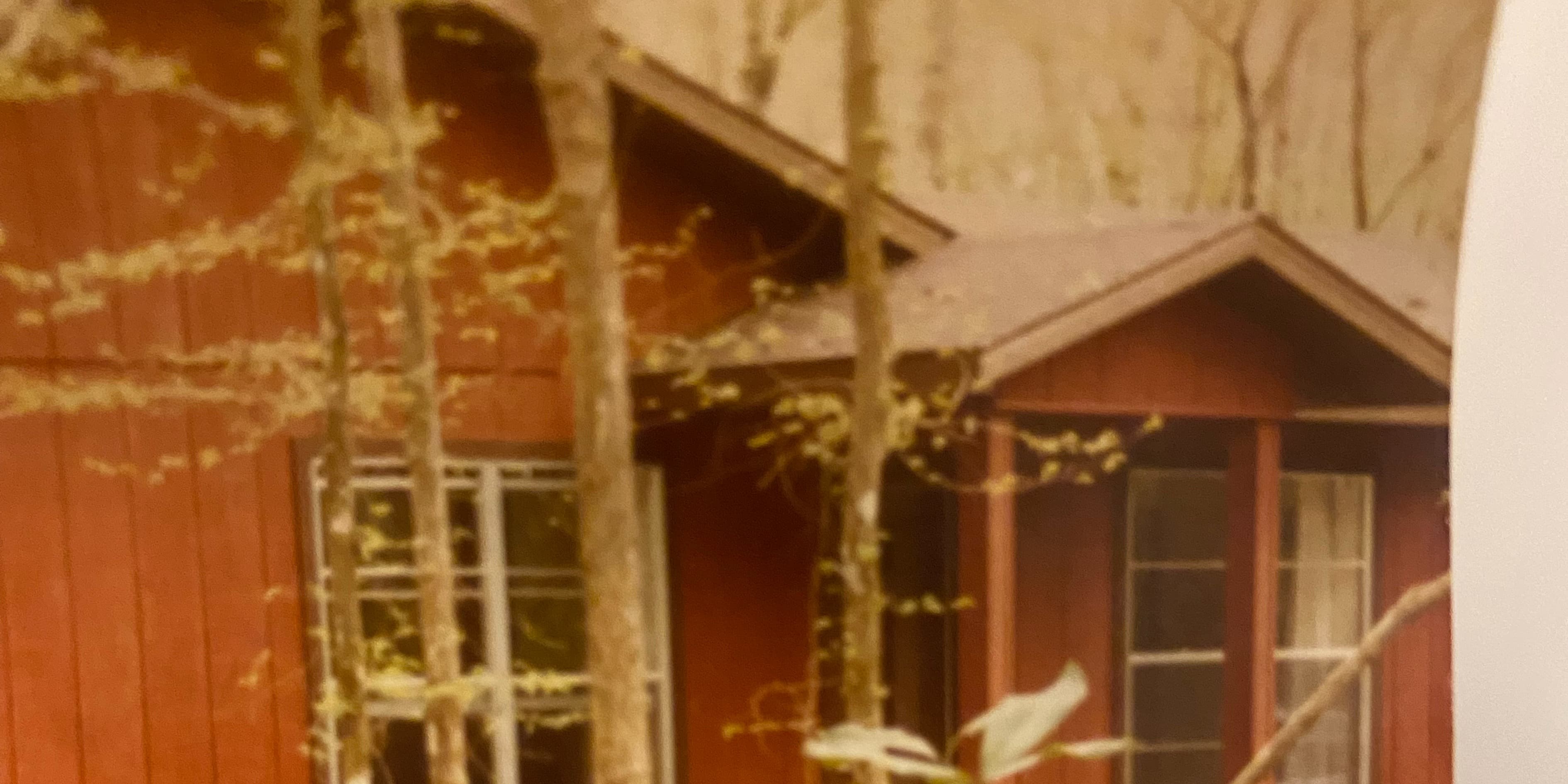 Cover photo